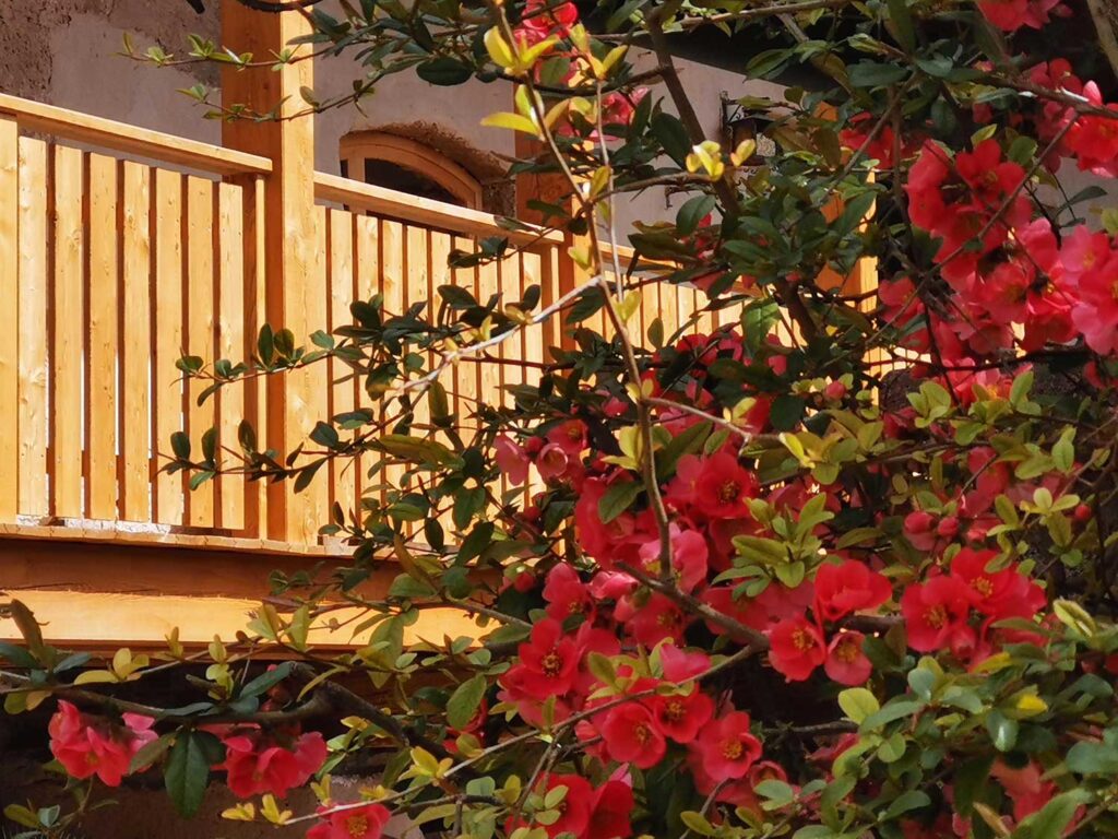 Terrasse Garten Apartment